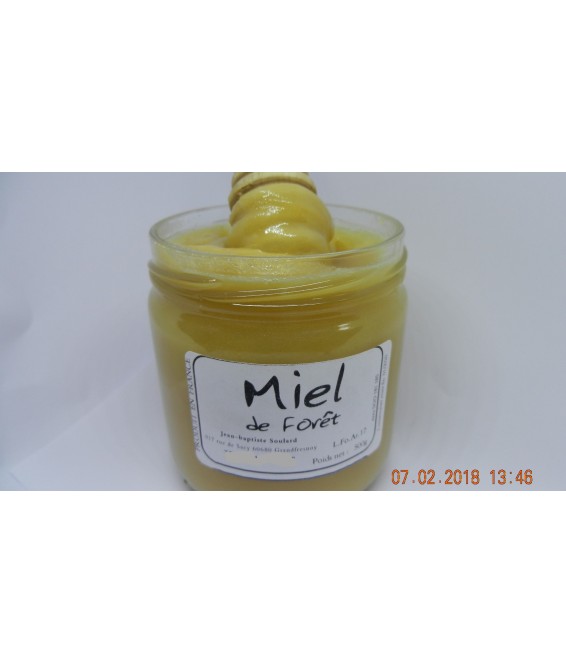 Miel de forêt 8,50 €